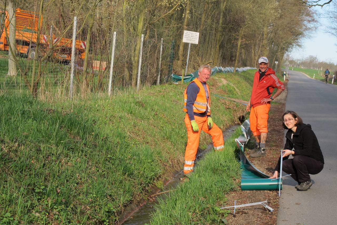 Zum Komplett-Artikel