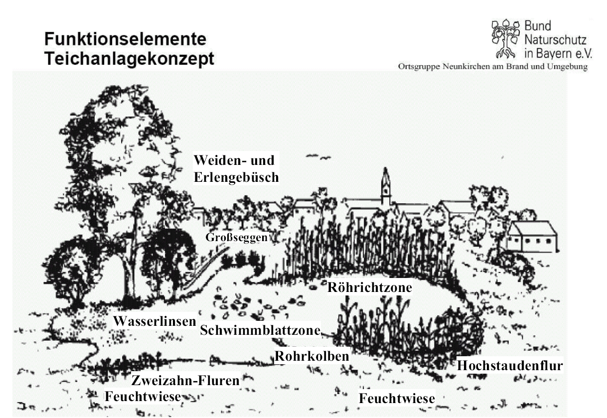 Zum Vergrößern klicken! Konzept zur Anlage eines Teiches