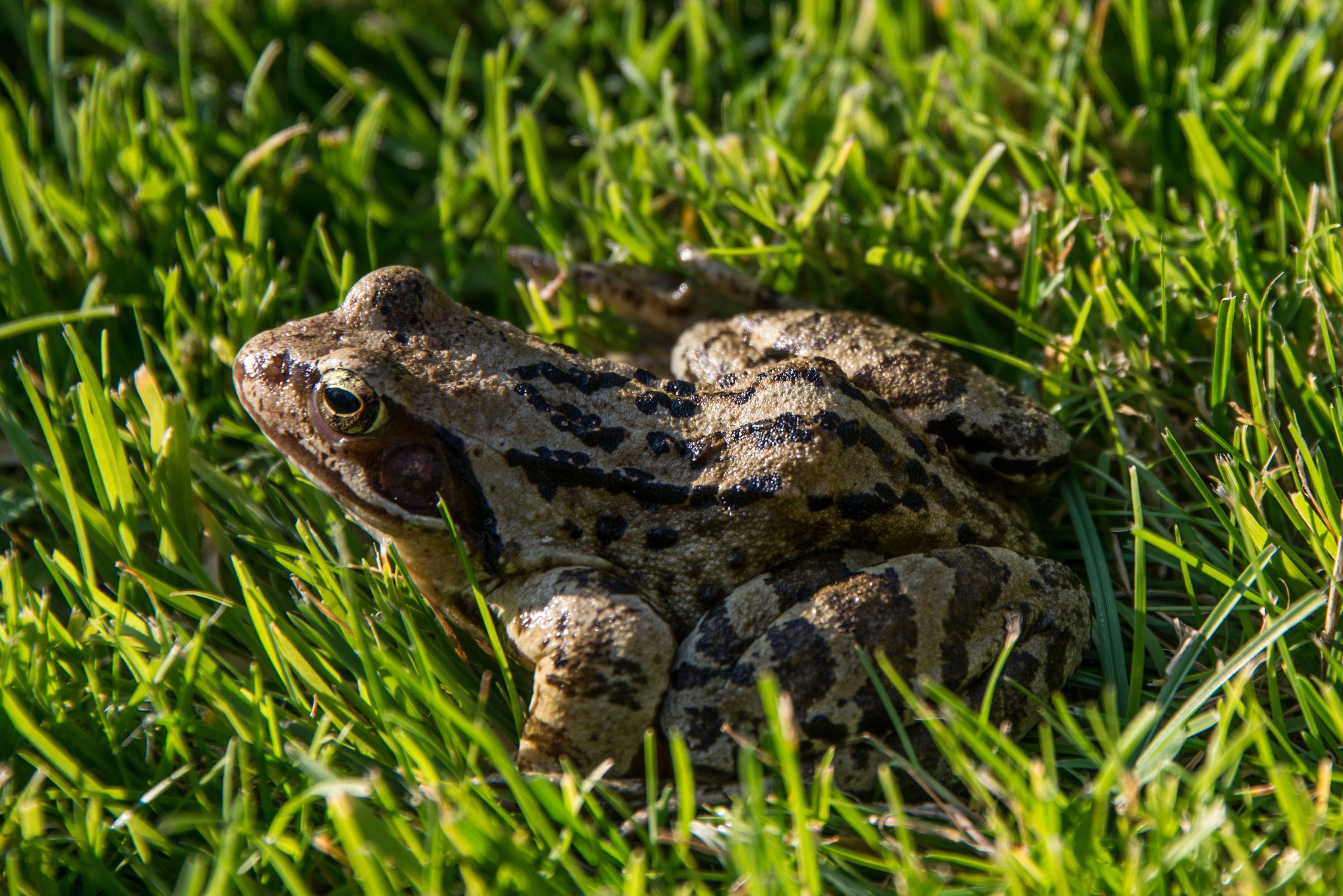 SVS_11966_2zu3_full.jpg (589 Kibytes)